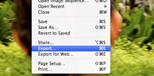 01-export.jpg
