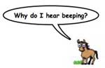 Whinny!