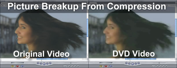 dvdxdv for pc dvdxdv for pc